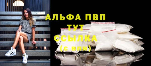 дживик Сатка