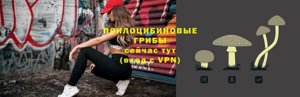 дурь Абинск