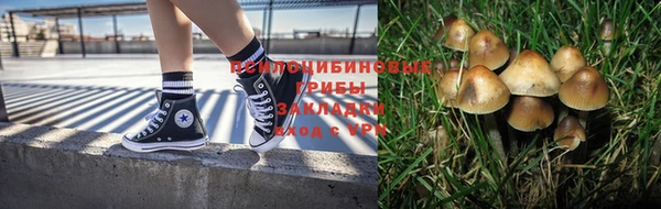 дурь Абинск